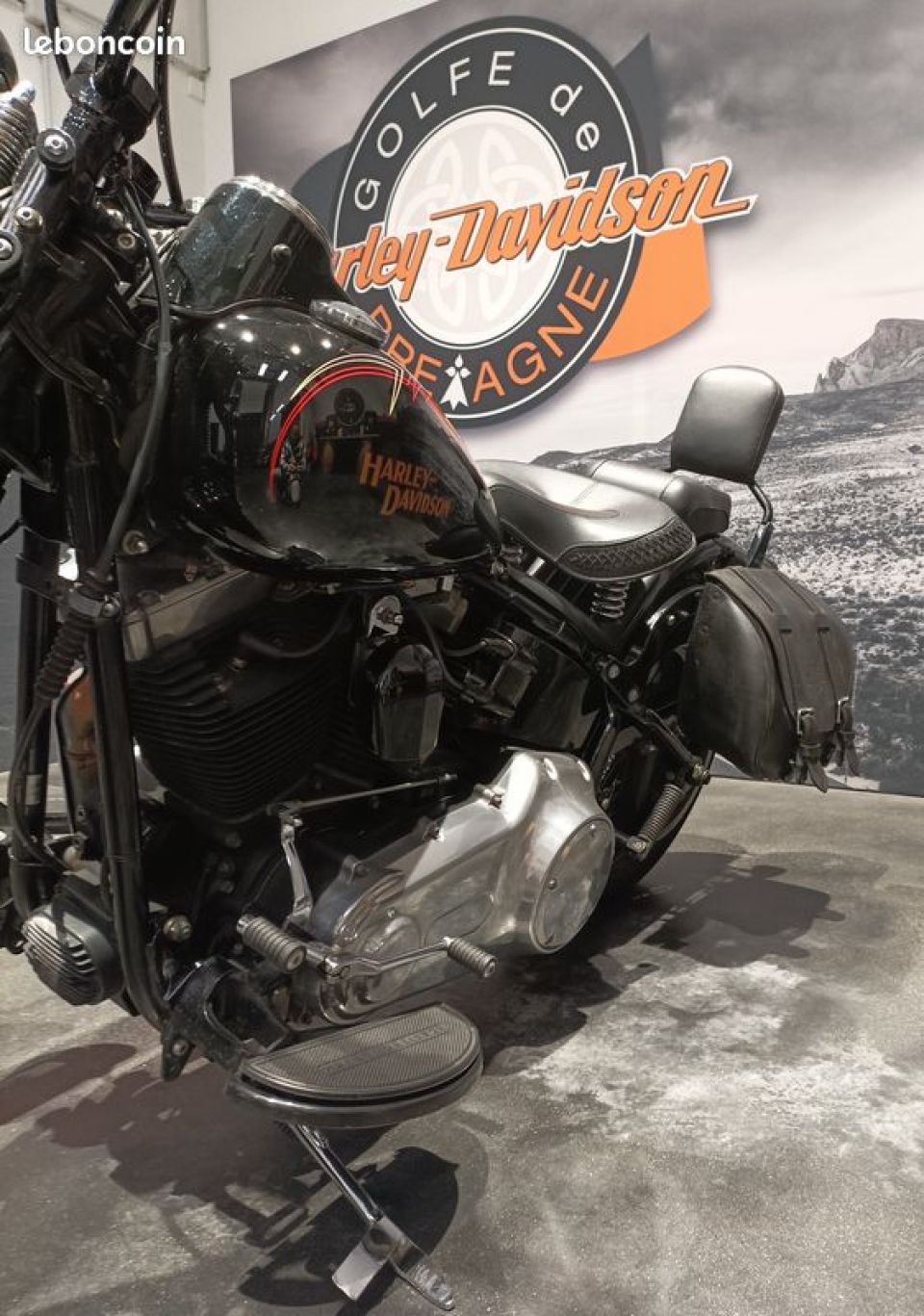 HARLEY-DAVIDSON SOFTAIL SPRINGER 1584 CROSS BONES 4