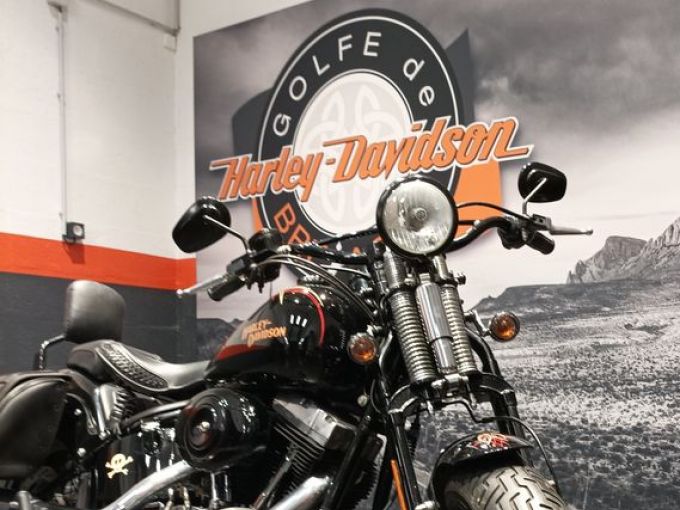 HARLEY-DAVIDSON SOFTAIL SPRINGER 1584 CROSS BONES 4