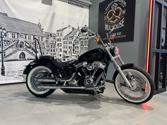 HARLEY-DAVIDSON SOFTAIL STANDARD 1745 4
