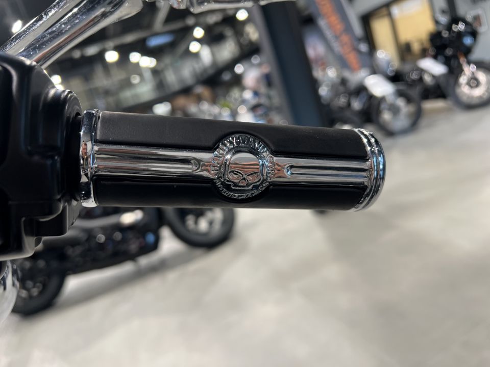 HARLEY-DAVIDSON SOFTAIL STANDARD 1745 4