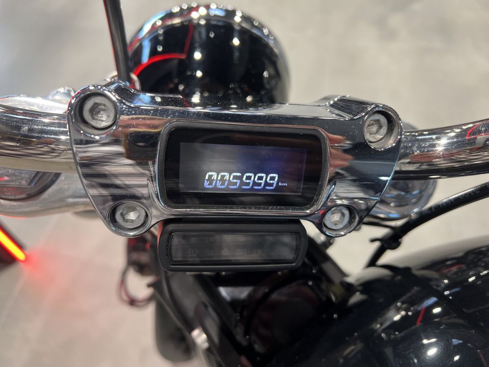 HARLEY-DAVIDSON SOFTAIL STANDARD 1745 4