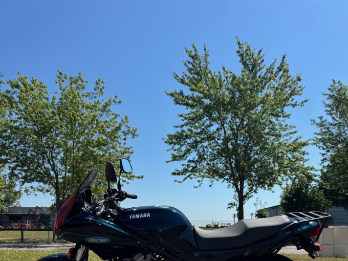 YAMAHA DIVERSION 4