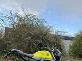 ZONTES 125 SCRAMBLER X - 2022