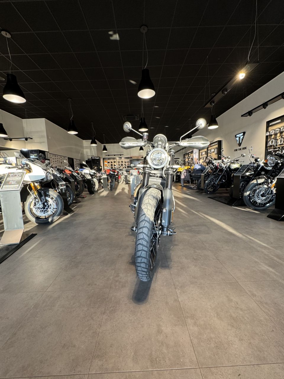 TRIUMPH SCRAMBLER 1200 4