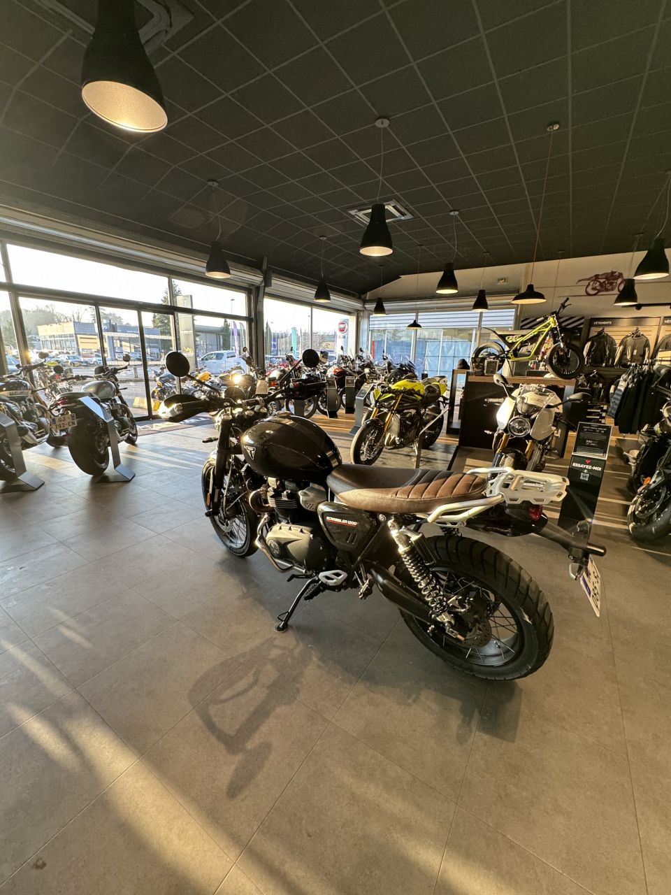 TRIUMPH SCRAMBLER 1200 4