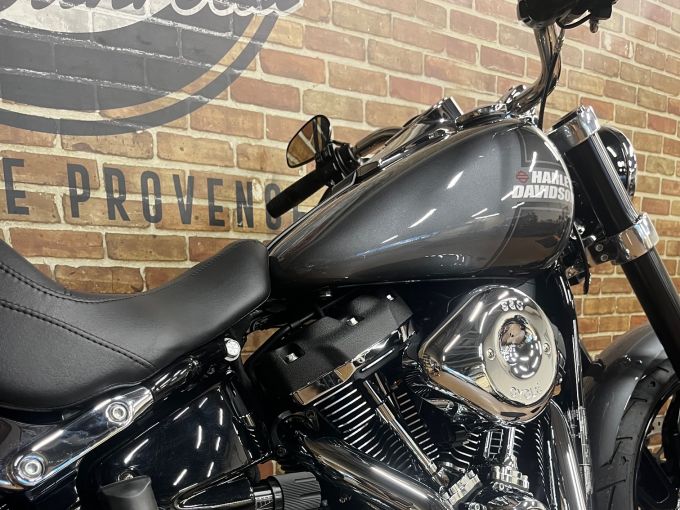 HARLEY-DAVIDSON SOFTAIL SPORT GLIDE 1745 4