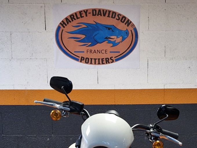 HARLEY-DAVIDSON SOFTAIL LOW RIDER 1923 S 4