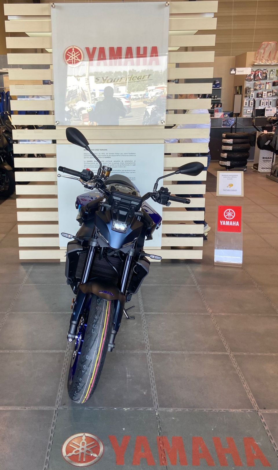 YAMAHA MT-09 4
