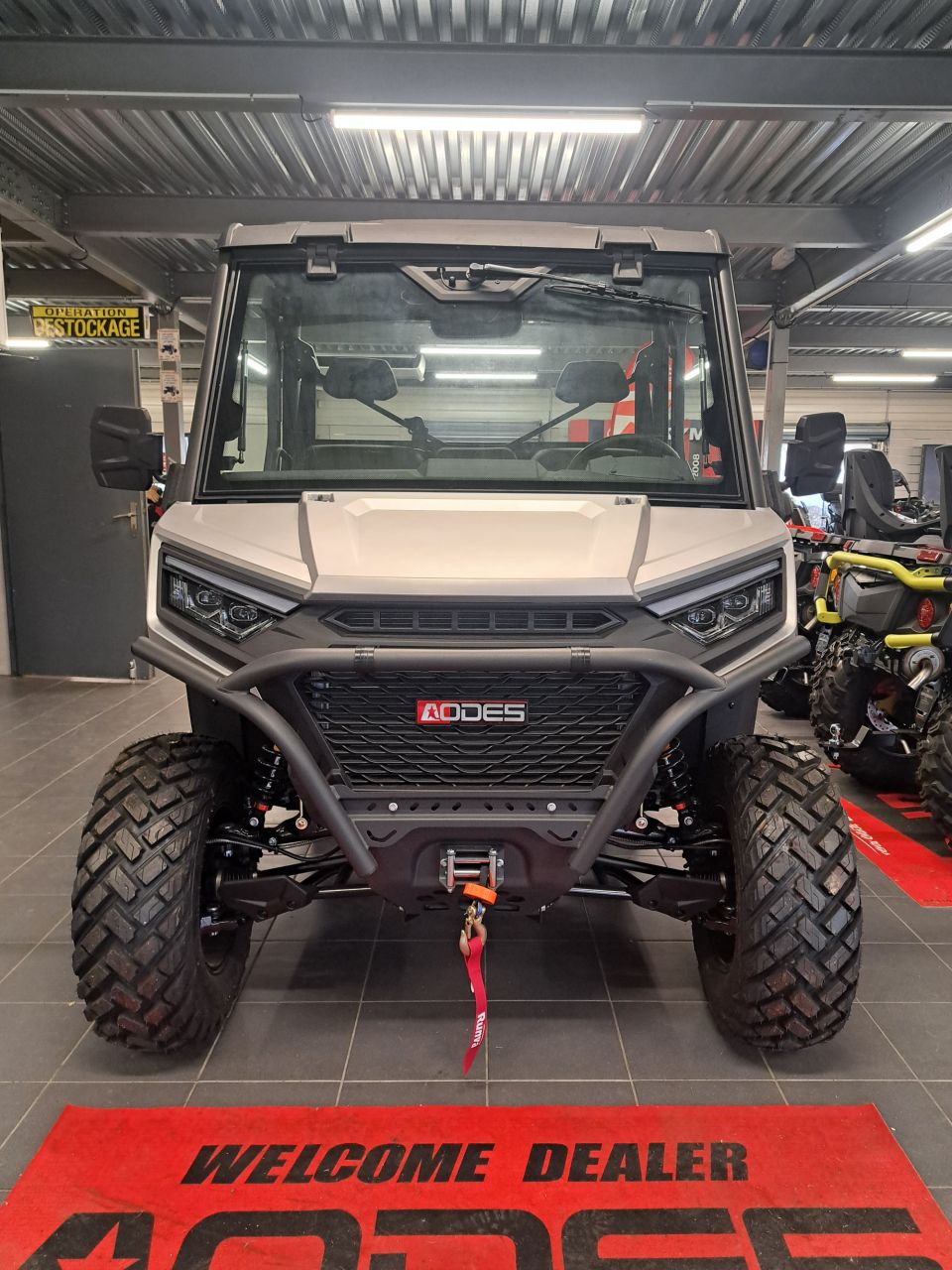 AODES SSV 1000 WORKCROSS 4