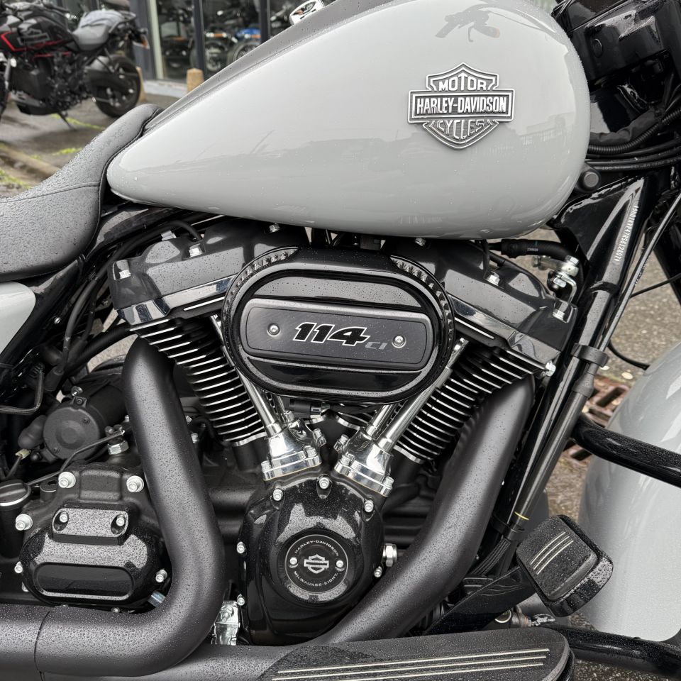 HARLEY-DAVIDSON TOURING ROAD KING 1745 SPECIAL 4