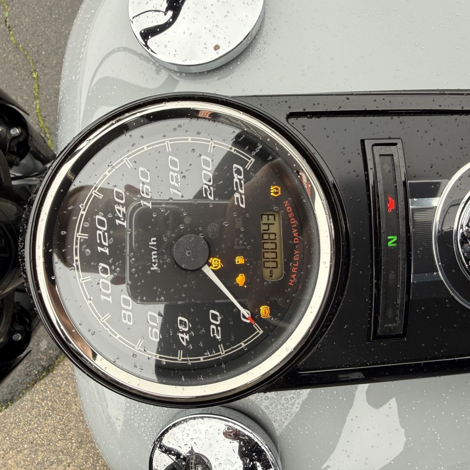 HARLEY-DAVIDSON TOURING ROAD KING 1745 SPECIAL 4