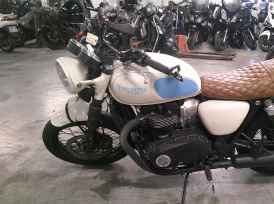 TRIUMPH Bonneville T100 - 2018