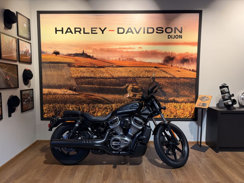HARLEY-DAVIDSON SPORTSTER NIGHTSTER 975 4