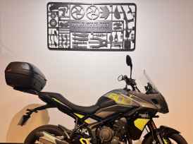 TRIUMPH TIGER 800 - 2025