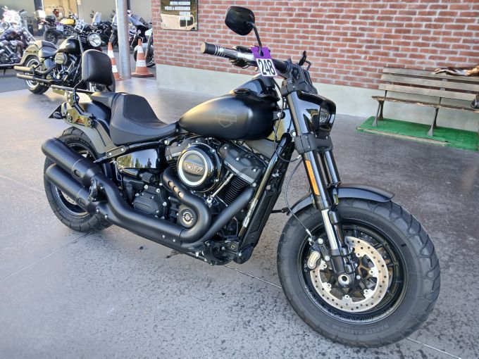 HARLEY-DAVIDSON SOFTAIL FAT BOB 1745 4