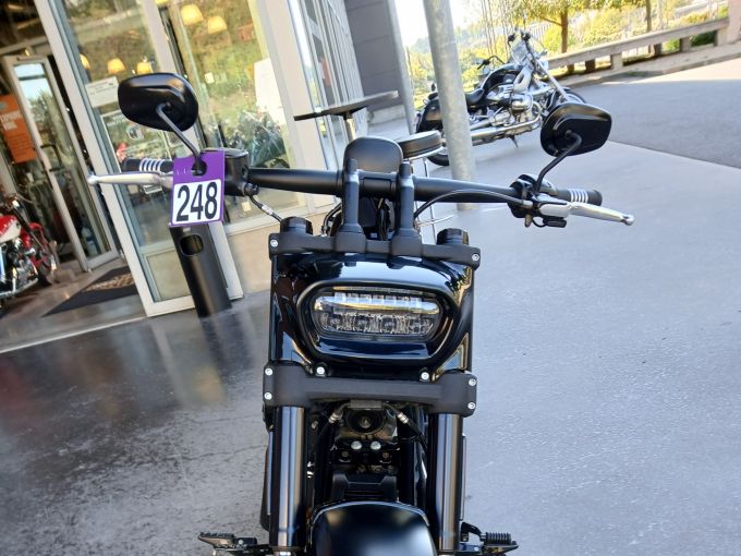 HARLEY-DAVIDSON SOFTAIL FAT BOB 1745 4