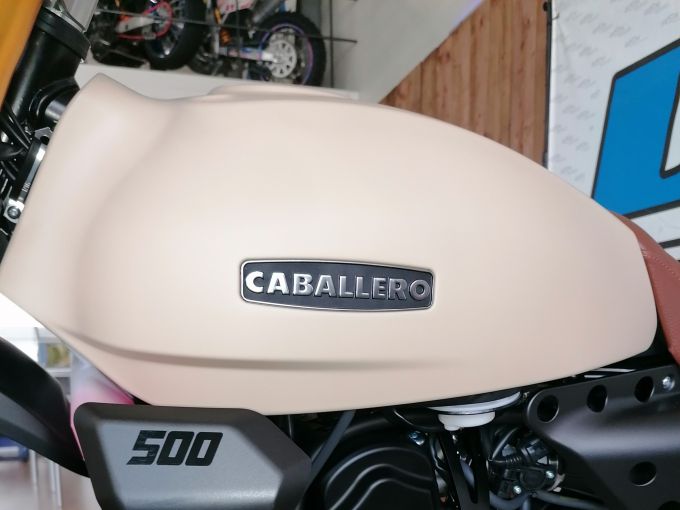 FANTIC CABALLERO 500 RALLY 4
