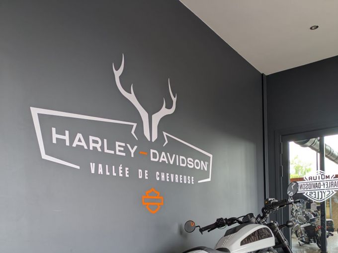 HARLEY-DAVIDSON SPORTSTER 1250 S 4