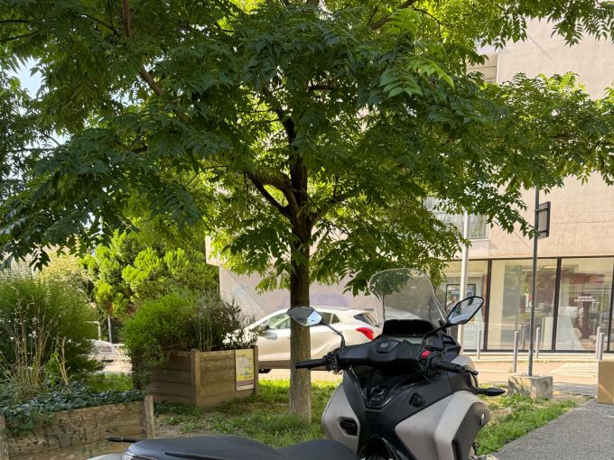 YAMAHA TRICITY 300 4