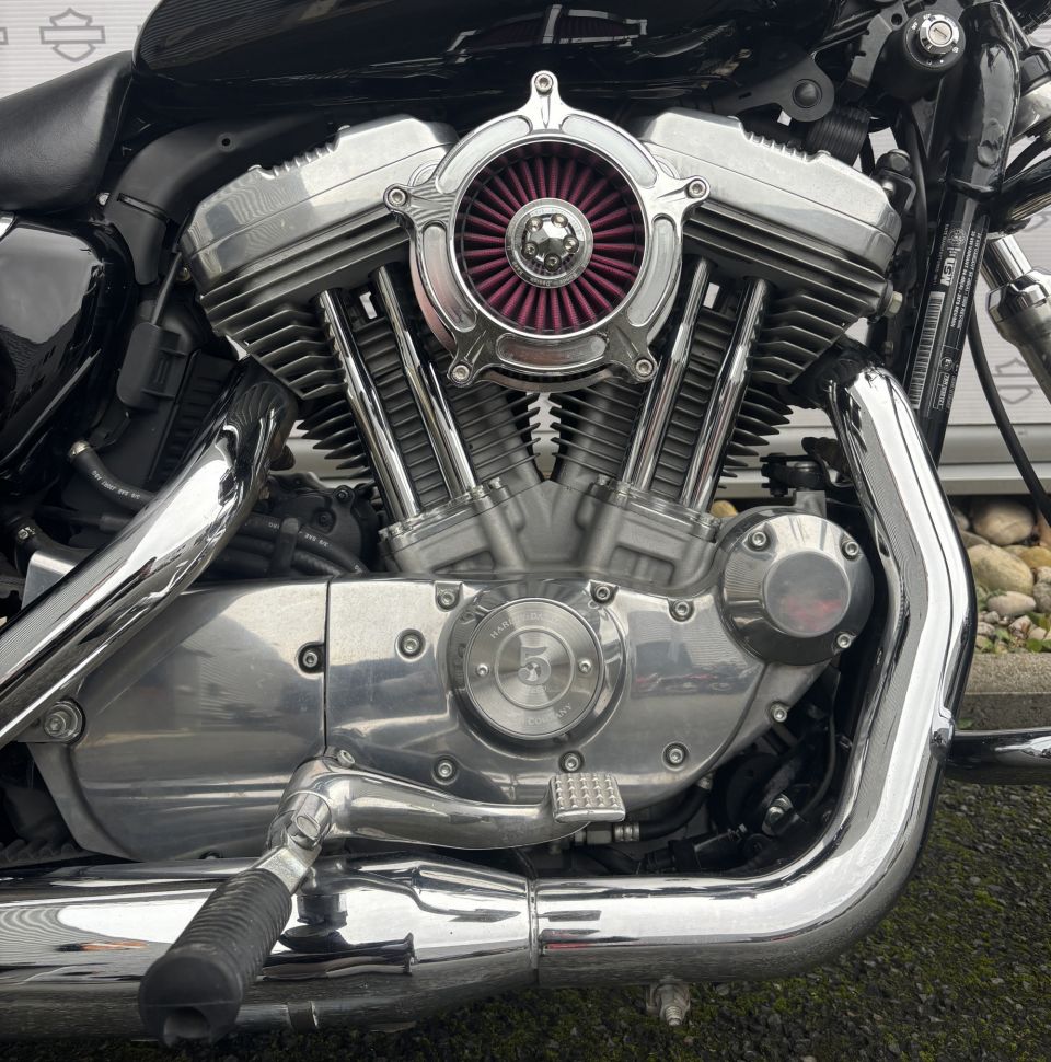 HARLEY-DAVIDSON SPORTSTER 883 LOW 4