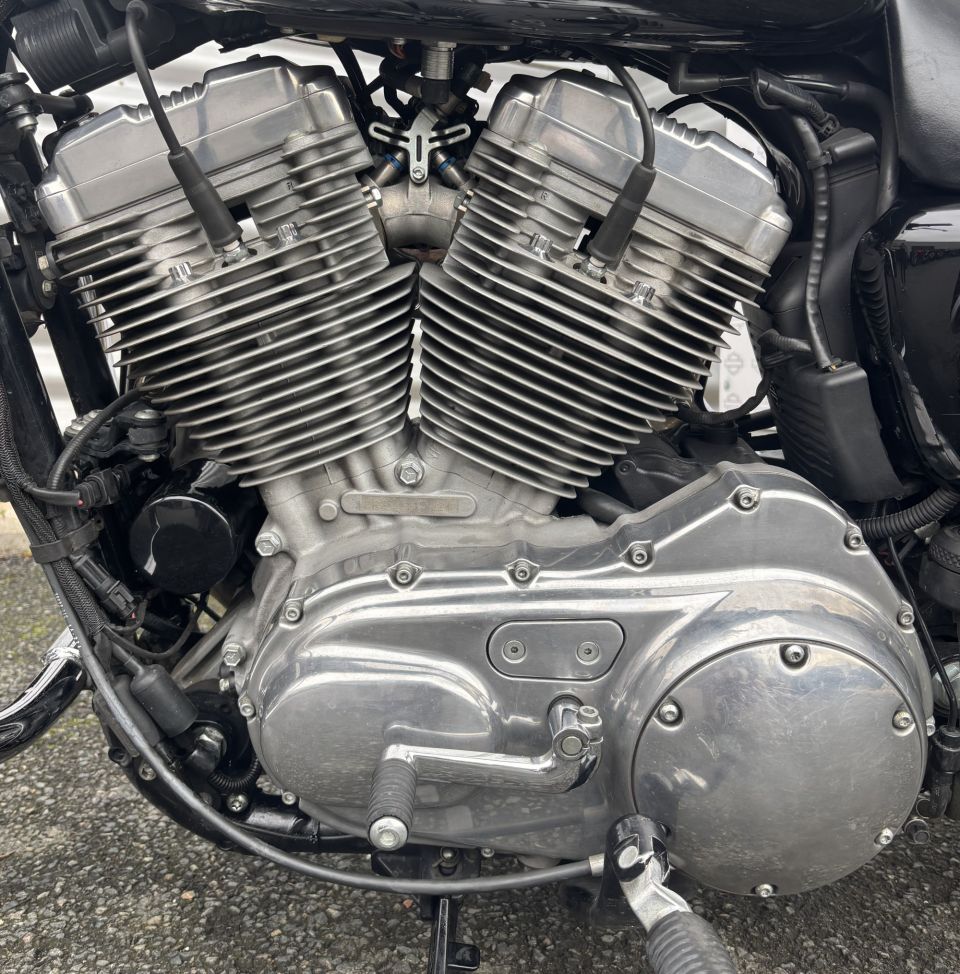 HARLEY-DAVIDSON SPORTSTER 883 LOW 4