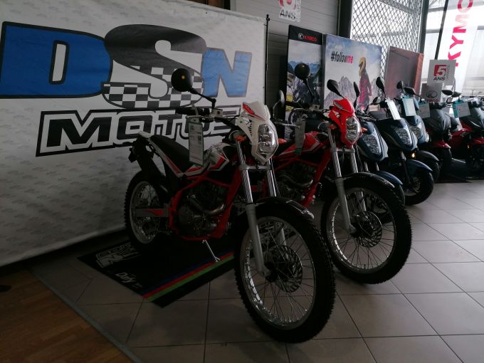 BETA ALP (N.H) 4