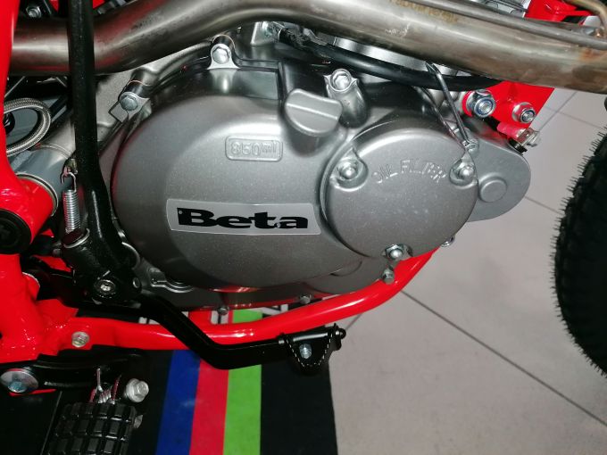 BETA ALP (N.H) 4