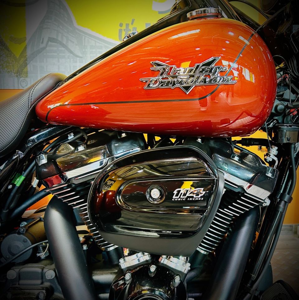 HARLEY-DAVIDSON TRIKE FREEWHEELER 1868 4