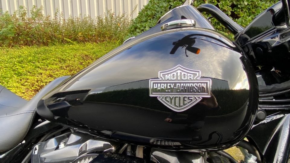 HARLEY-DAVIDSON TOURING ROAD KING 1868 SPECIAL 4