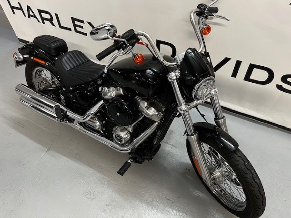 HARLEY-DAVIDSON SOFTAIL STANDARD 1745 4