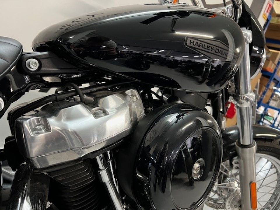 HARLEY-DAVIDSON SOFTAIL STANDARD 1745 4