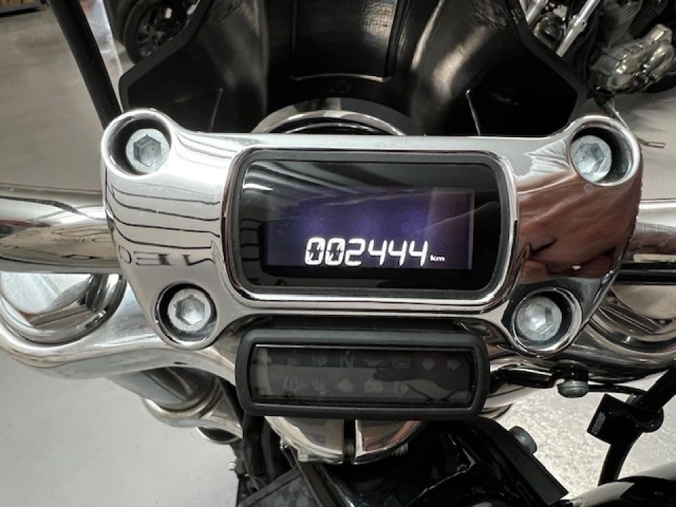 HARLEY-DAVIDSON SOFTAIL STANDARD 1745 4