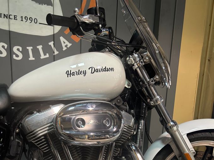 HARLEY-DAVIDSON SPORTSTER 883 LOW 4
