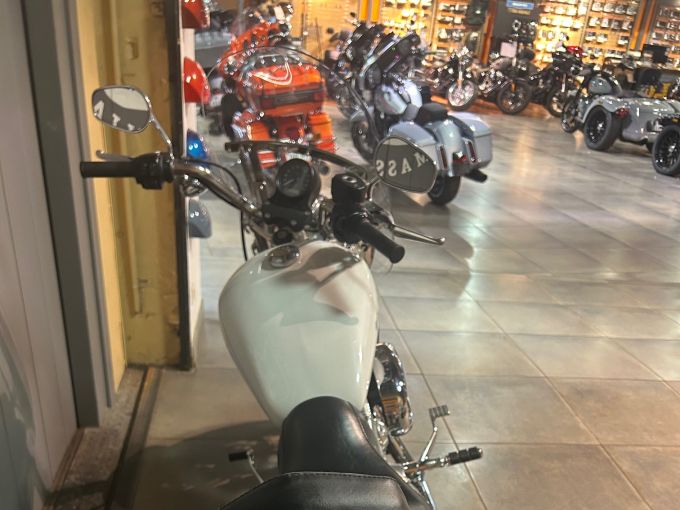 HARLEY-DAVIDSON SPORTSTER 883 LOW 4