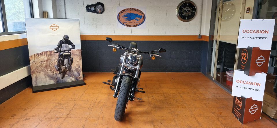 HARLEY-DAVIDSON SOFTAIL BREAKOUT 1690 4