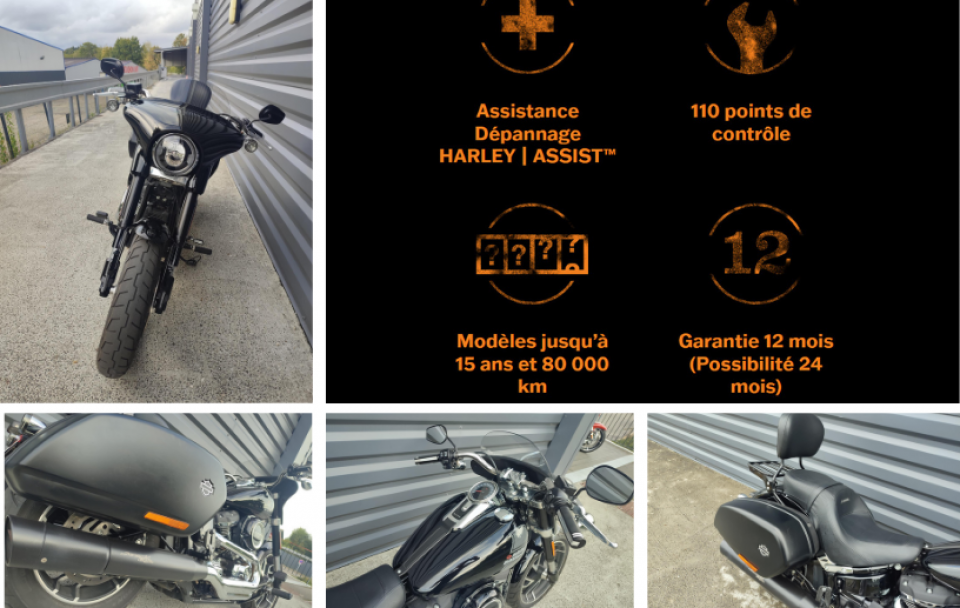 HARLEY-DAVIDSON SOFTAIL SPORT GLIDE 1745 4