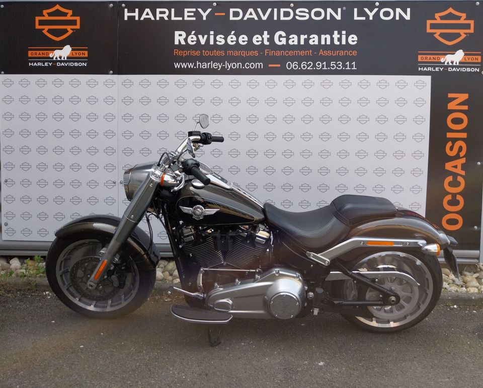 HARLEY-DAVIDSON SOFTAIL FAT BOY 1745 4