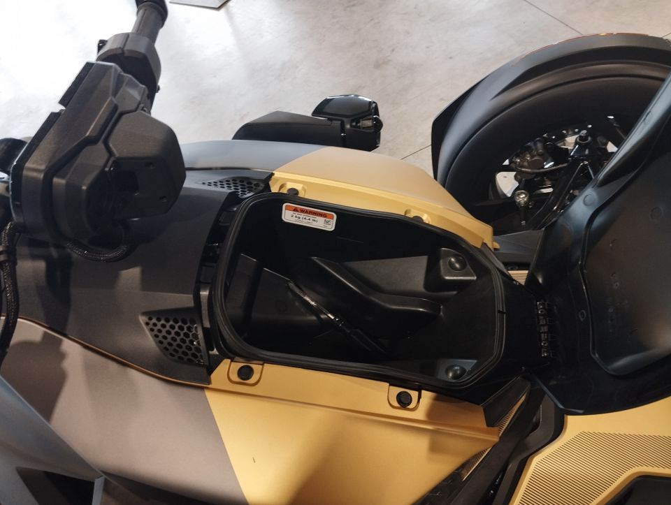 CAN-AM RYKER 900 ACE 4