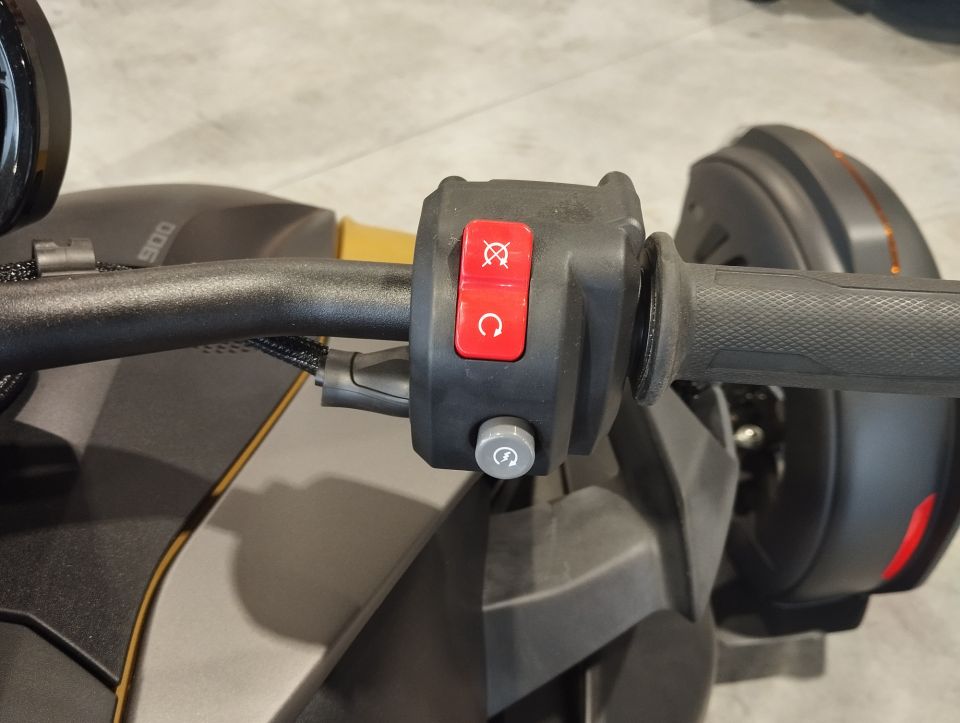 CAN-AM RYKER 900 ACE 4