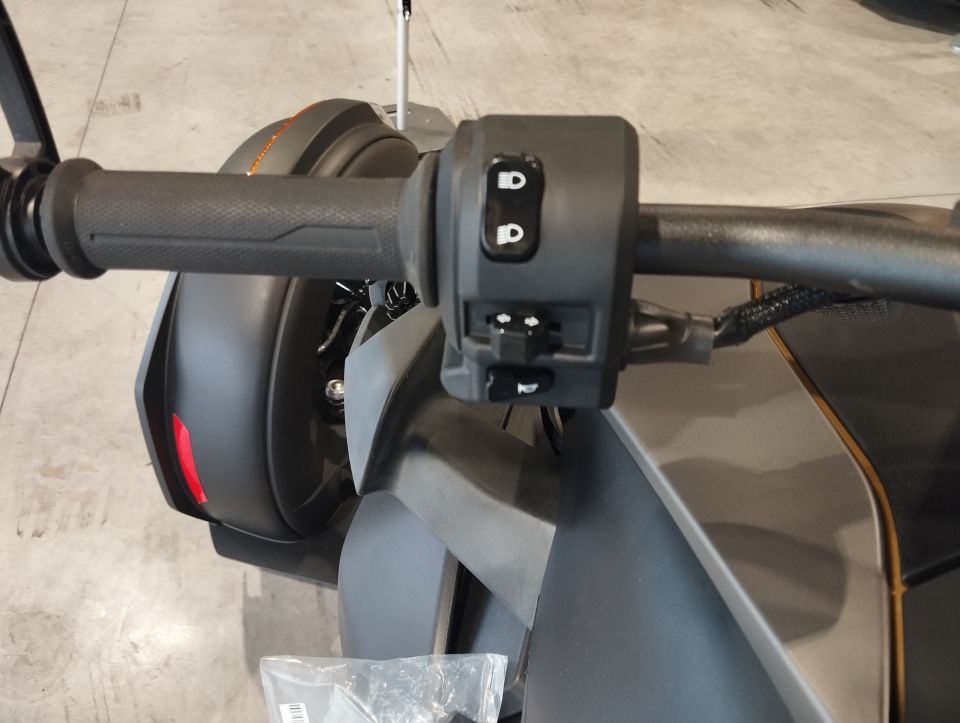 CAN-AM RYKER 900 ACE 4