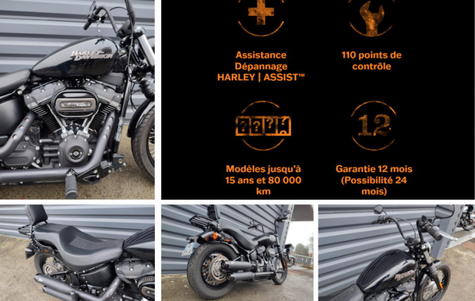 HARLEY-DAVIDSON SOFTAIL STREET BOB 1745 4