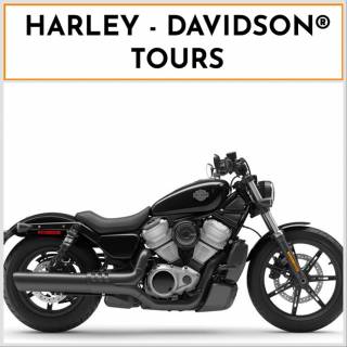 HARLEY-DAVIDSON SPORTSTER NIGHTSTER 975 SPECIAL - 2024