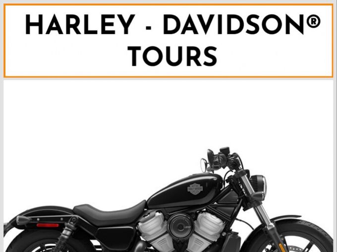 HARLEY-DAVIDSON SPORTSTER NIGHTSTER 975 SPECIAL 4