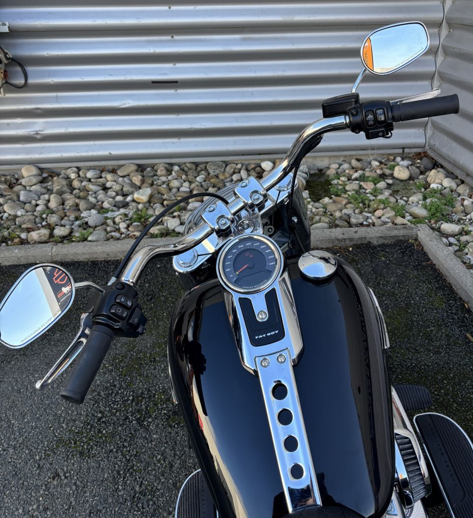 HARLEY-DAVIDSON SOFTAIL FAT BOY 1868 4