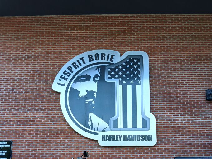 HARLEY-DAVIDSON SOFTAIL FAT BOY 1690 SPECIAL 4