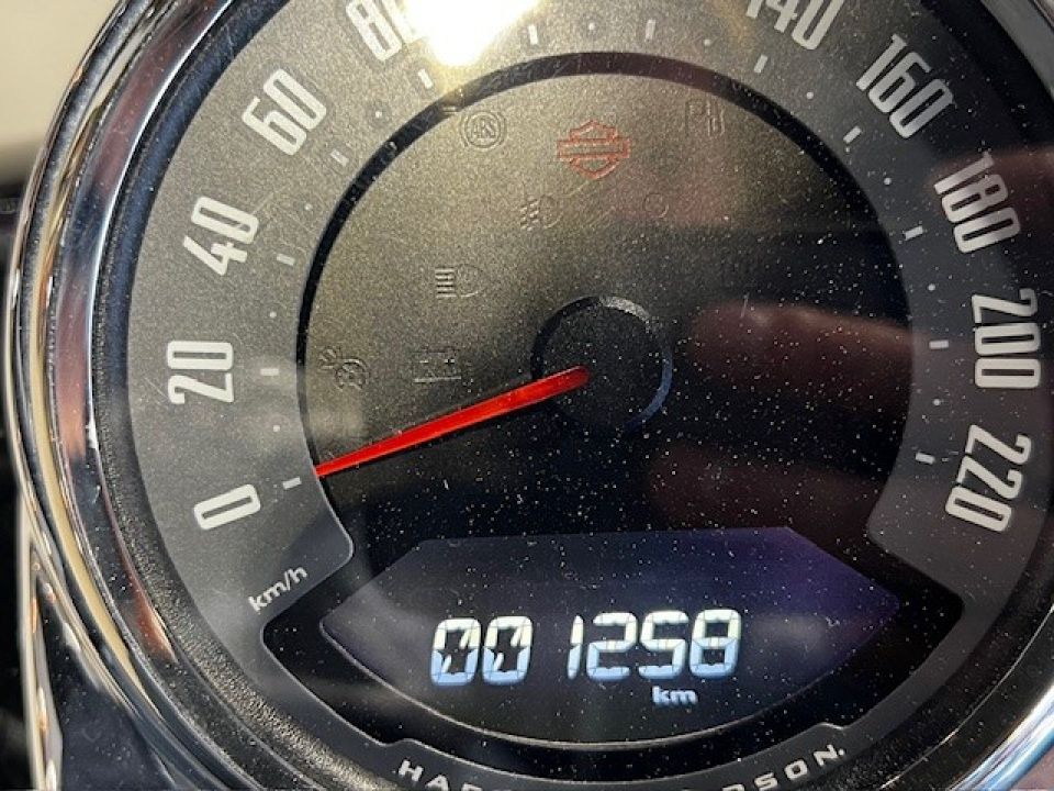 HARLEY-DAVIDSON SOFTAIL HERITAGE 1868 CLASSIC 4