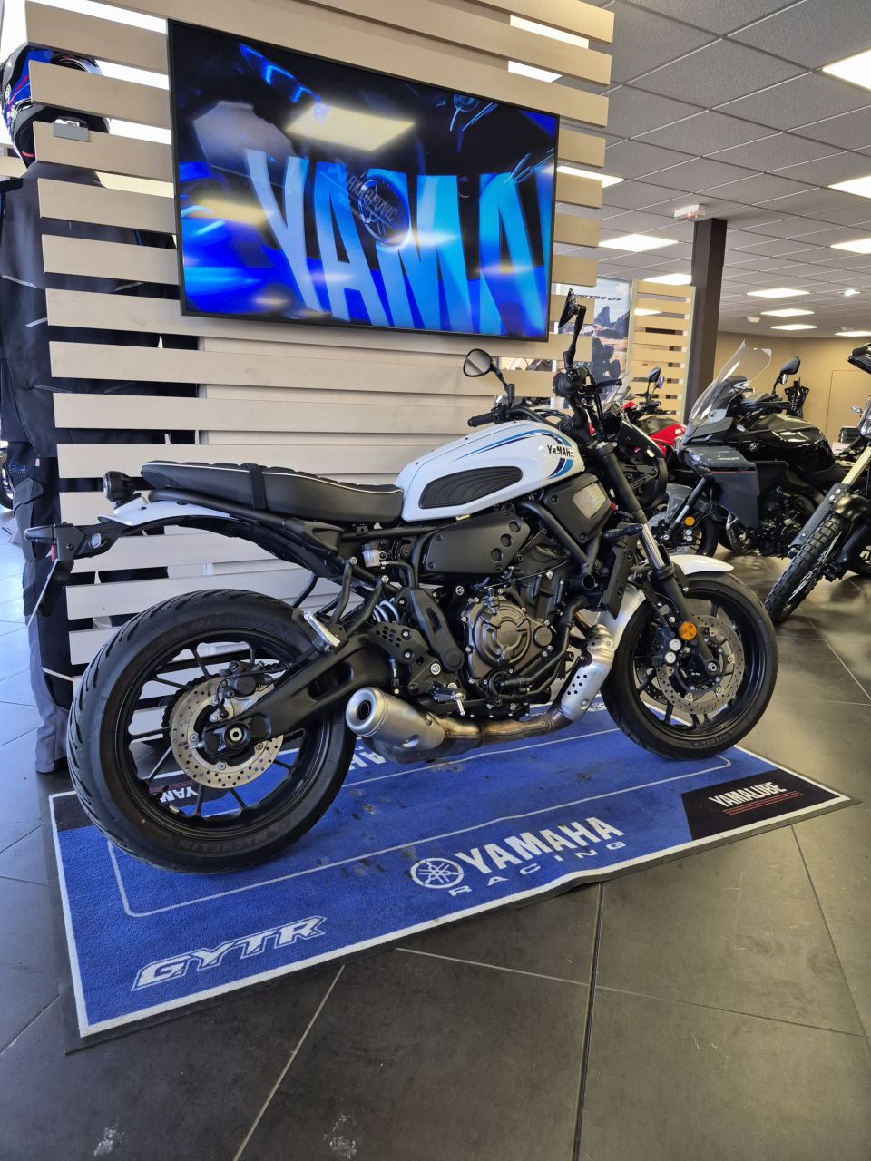 YAMAHA XSR 700 35KW 4