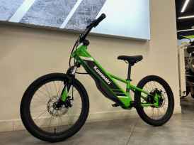 KAWASAKI Elektrode 20 - 2024