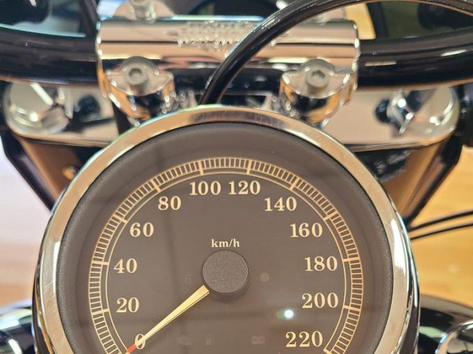 HARLEY-DAVIDSON SOFTAIL SLIM 1690 4