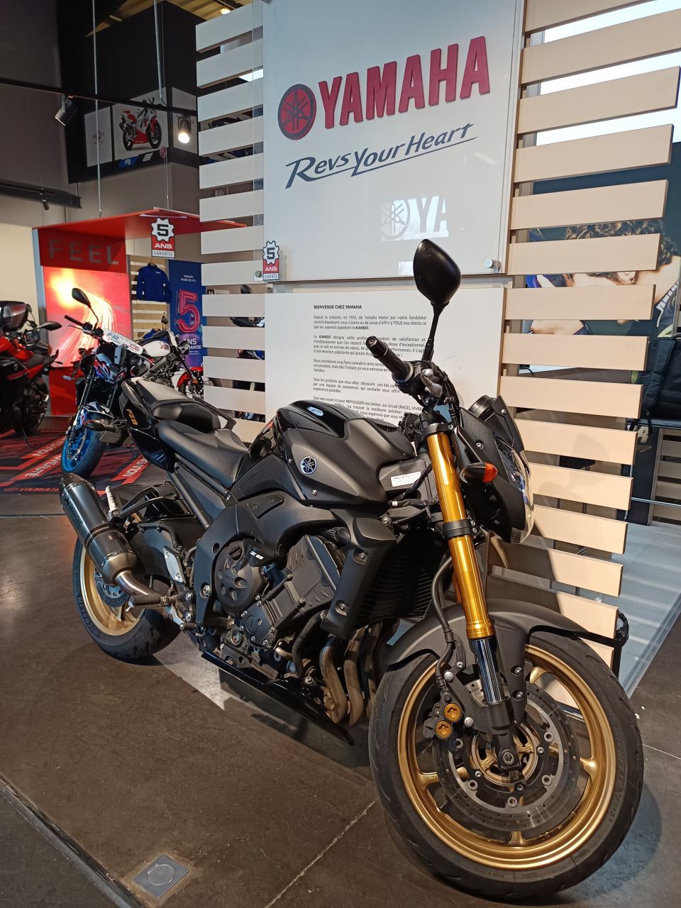 YAMAHA FZ8 SP-R 4